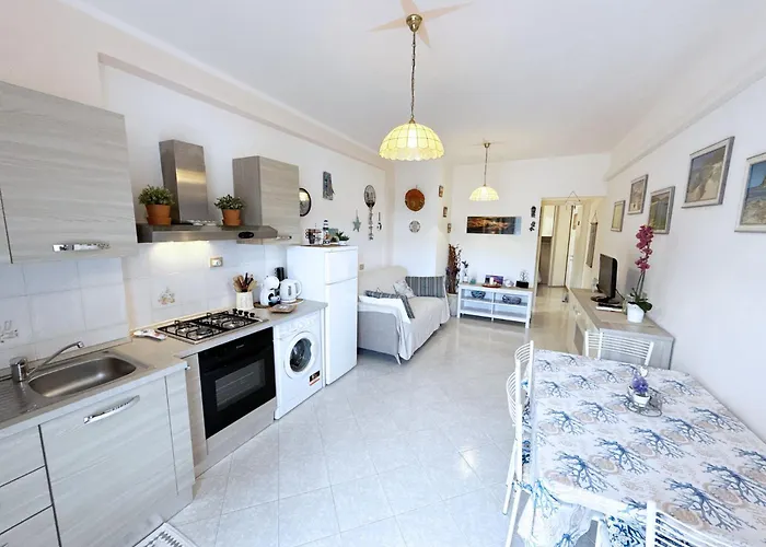 Camy - Argonautivacanze